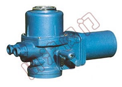 Q型電動(dòng)執(zhí)行機(jī)構(gòu)