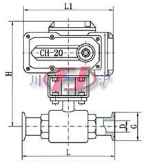 Q921F衛(wèi)生級電動球閥 兩通結(jié)構(gòu)外形圖